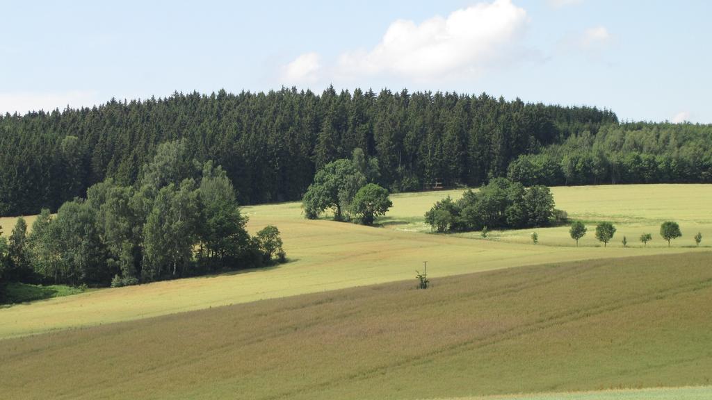 Hormersdorf Stollenklauseアパートメント エクステリア 写真