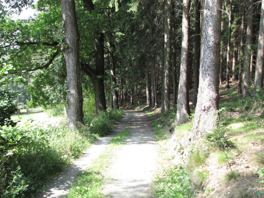 Hormersdorf Stollenklauseアパートメント エクステリア 写真