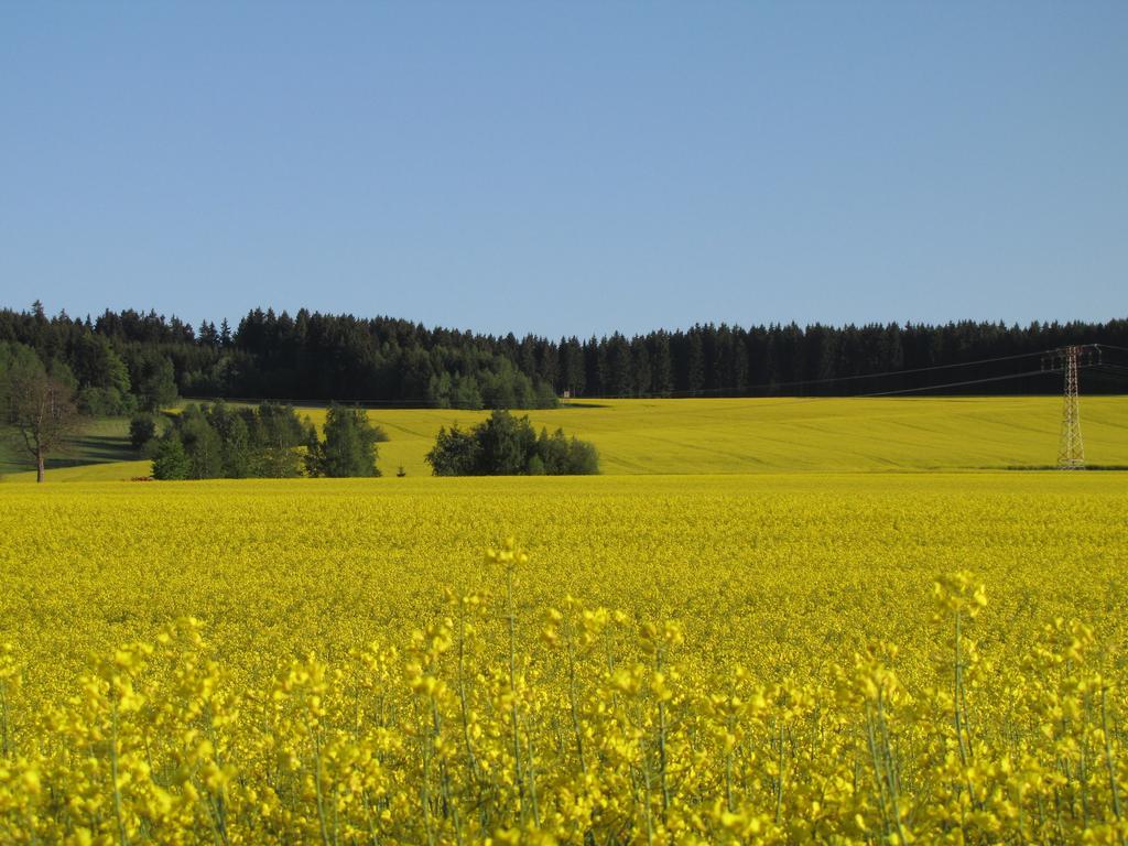 Hormersdorf Stollenklauseアパートメント エクステリア 写真